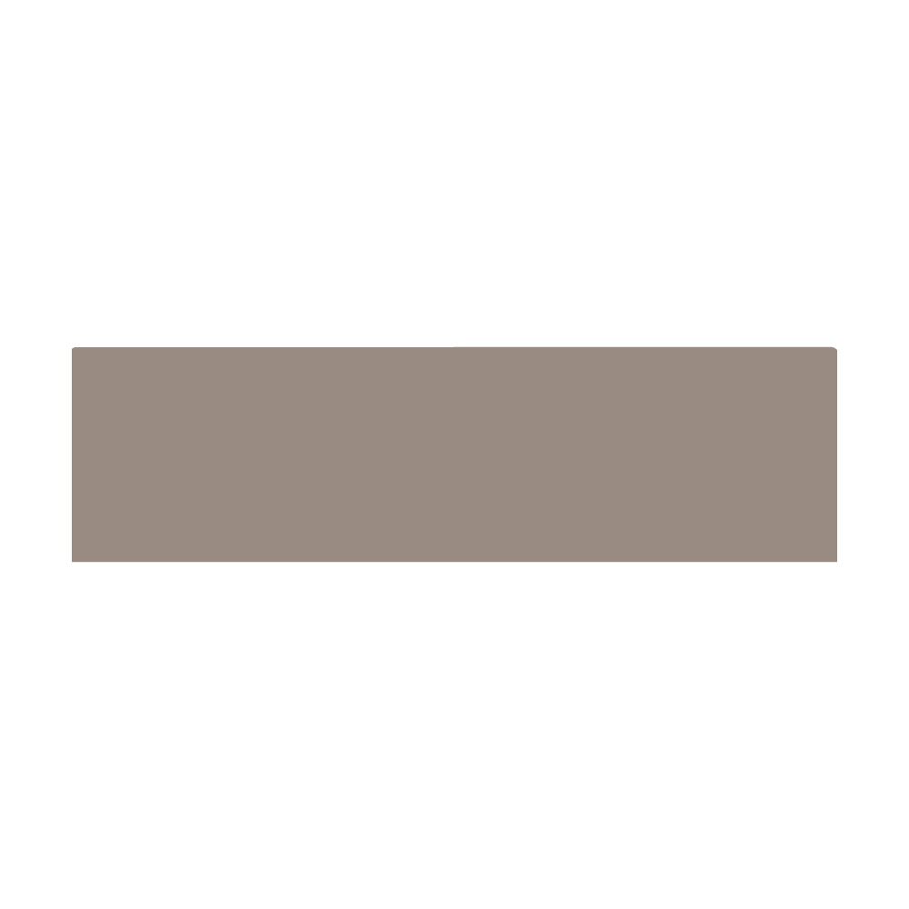 Praedifa系列F3, Polon活塞/活塞杆导向带