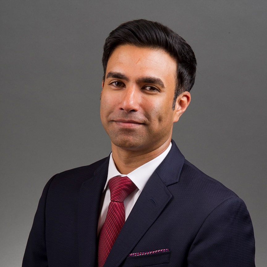 Dinu J. Parel, Vice President - Chief Digital and Information Officer