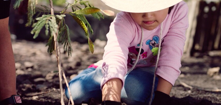 Sowing the Seeds for a Better Tomorrow