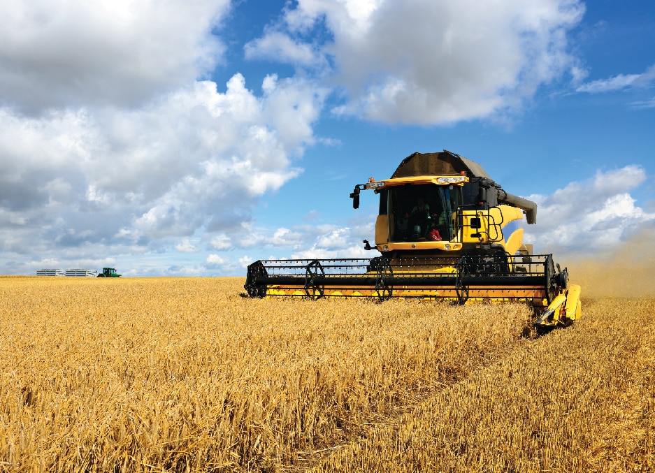 Agriculture